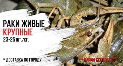 Раки живые 🦞Крупные